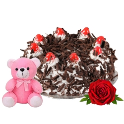 Fresh Baked Black Forest Cake with Romantic Single Rose and Teddy
