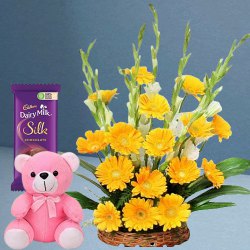 Attractive Arrangement of Yellow Gerberas with Teddy N Dairy Milk Silk