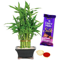Enticing Silk N 2 Tier Bamboo Plant