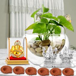 Eco Friendly Diwali Hamper of Money Plant, Haldiram Sweets, Idol n Free Diya