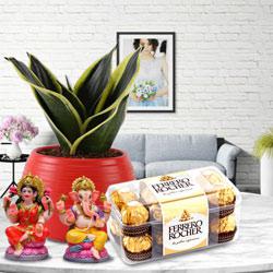 Milt Sansevieria Plant, Ferrero Rocher N Ganesh Laxmi Idol