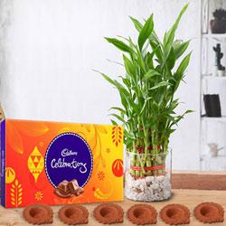 3 Tier Lucky Bamboo in Glass Pot, Cadbury Celebrations N Diya