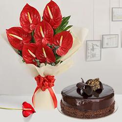 Lovely Combo of Anthurium Bouquet with Chocolate Cake to Irinjalakuda