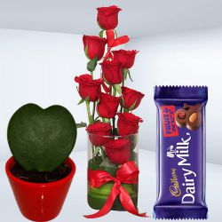 Exuberance of Love Red Roses in Vase, Hoya Heart Plant n Cadbury Fruit n Nut