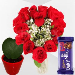 Superb Combo of Love Shape Red Roses in Vase, Cadbury Chocolate N n Hoya Love Plant