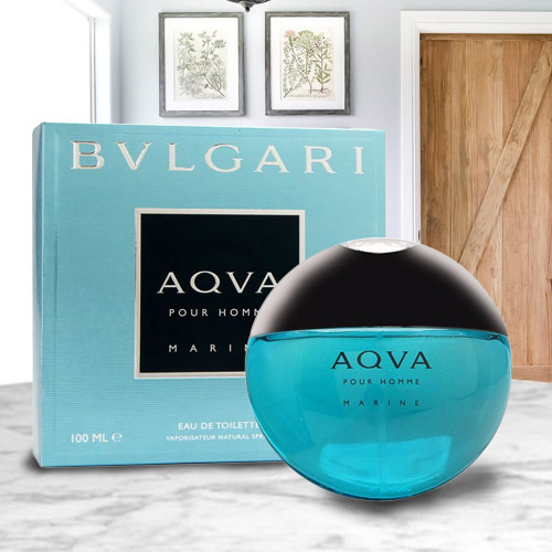 Exciting Bvlgari Aqva Marine for Men to Nipani