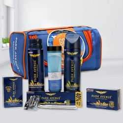 Remarkable Park Avenue Grooming Kit to Alwaye