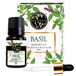 Aromatic Basil Essential Oil to Ambattur