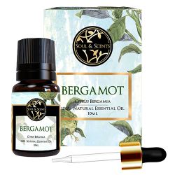 Radiant Refreshment  Bergamot Essential Oil to Hariyana