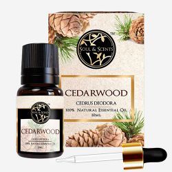 Luxurious Cedar Wood Essential Oil