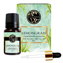 Refreshing Lemongrass Essential Oil