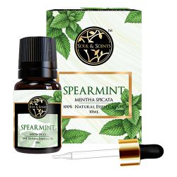 Soothing Spearmint Essential Oil to Ambattur