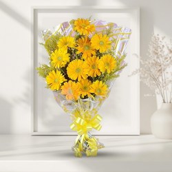 Radiant one dozen dazzling Gerberas