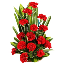 Colourful classy Carnations to Kanyakumari