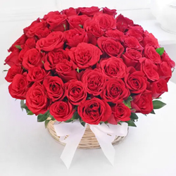 Pretty collection of 50 Red Roses to Perintalmanna