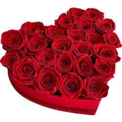 Passionate Red Rose arrangement
