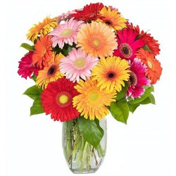 Superb arrangement of Gerberas including with a big Vase  to Ambattur