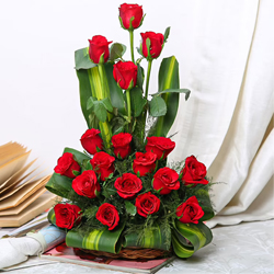 Radiant 15 Red Roses with a Basket