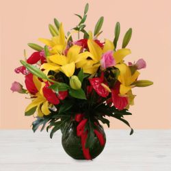 Majestic Red Anthurium N Yellow Lily in a Pot