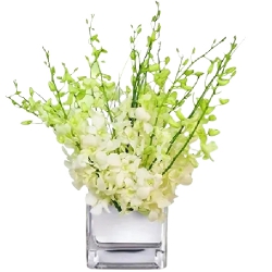 Elegant White Orchids Vase Arrangement