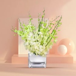 Elegant White Orchids Vase Arrangement