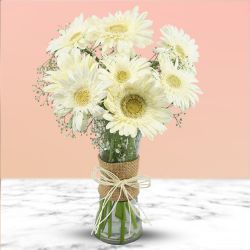 Enchanting Gerberas Vase Arrangement