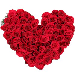 51 Exclusive Dutch Red Roses in Heart Shaped Arrangement to India