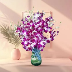 Pretty multiple Orchids in Vase