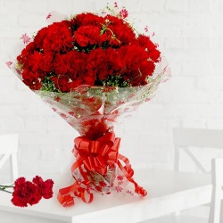 Ravishing Red Carnations  to Punalur