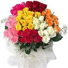 Radiant Rose Delight