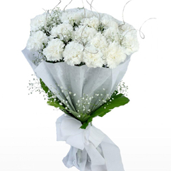 Impressive White Carnations Bundle