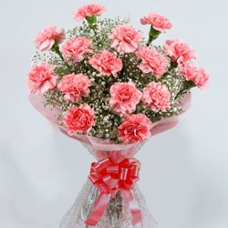 Bright Selection of Pink Carnations