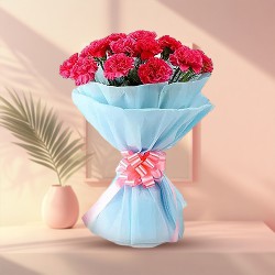 Luxurious Presentation of Carnations in Pink Colour