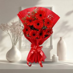 Pristine Red Gerberas Bunch