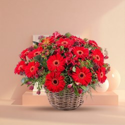 Heavenly Bunch of Red Coloured Gerberas