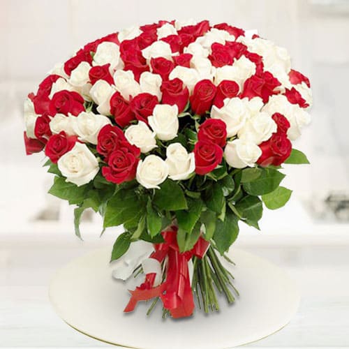 Vivid Magnificence Red  N  White Roses Premium Bou... to Marmagao