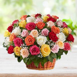 Vibrant Rose Medley to India