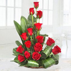 Tender Premium Arrangement of 15 Red Roses