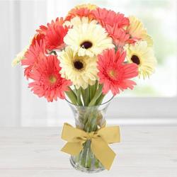 Engrossing Vibrancy Gerbera Assemblage