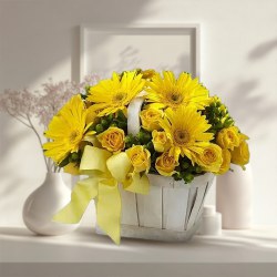 Candid Coziness Gerberas and Roses Arrangement