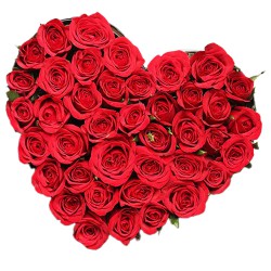 Popular Heart Shape Arrangement of 100 Red Roses