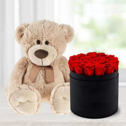 Exquisite Red Roses in Black Hat Box with Cute Teddy to Ambattur