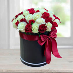 Luxury Barrel Box of Red n White Roses to Marmagao