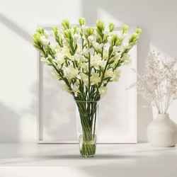 Captivating Arrangement of White Rajniganda Sticks in a Glass Vase to Uthagamandalam