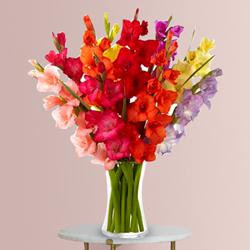 Amazing Assorted Gladiolus in a Glass Vase to Nipani