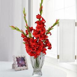 Outstanding Red Gladiolus Arrangement in Glass Flower Vase to Punalur