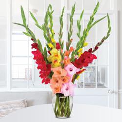 Breathtaking Mixed Color Gladiolus in Glass Vase to Irinjalakuda