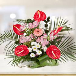 Brilliant Arrangement of Anthurium with Assorted Flowers to Karunagapally