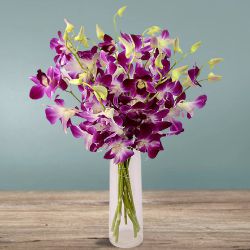 Exotic Purple Orchids in a Vase