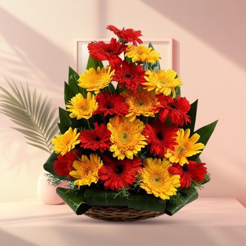 Impressive display of Yellow N Red Color Gerberas to Nipani